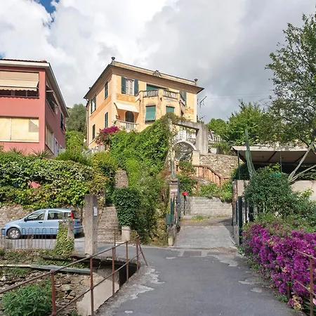 Fiordalisi * Рапалло